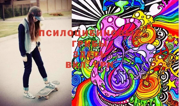 мдма Каменка