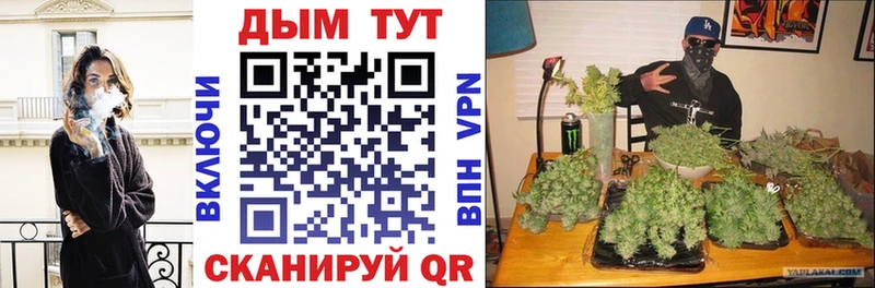 Конопля AK-47  Купить  Мончегорск 